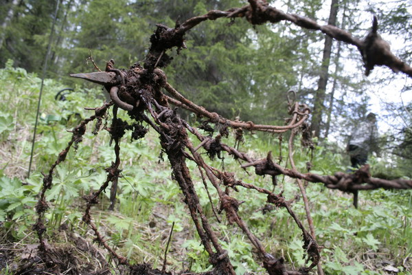 14_Horror_of_Infantry.JPG (600x400; 124027 bytes)