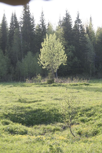 24_Kuhtozero.JPG (400x600; 113821 bytes)