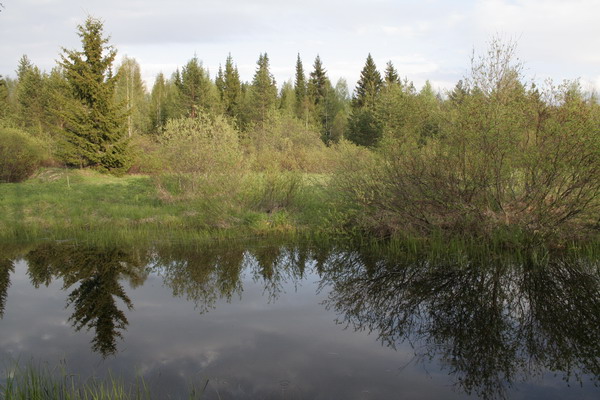 25_Kuhtozero_idilly.JPG (600x400; 94356 bytes)