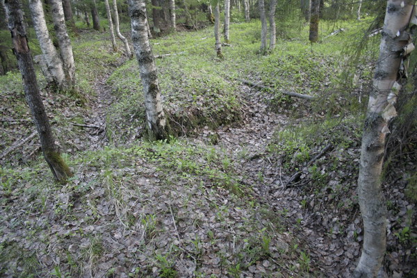 30_Trenches2.JPG (600x400; 139784 bytes)
