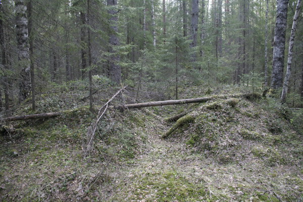 43_Blockhouse4.JPG (600x400; 132082 bytes)