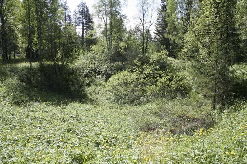 444v_karsten.JPG (800x533; 271145 bytes)