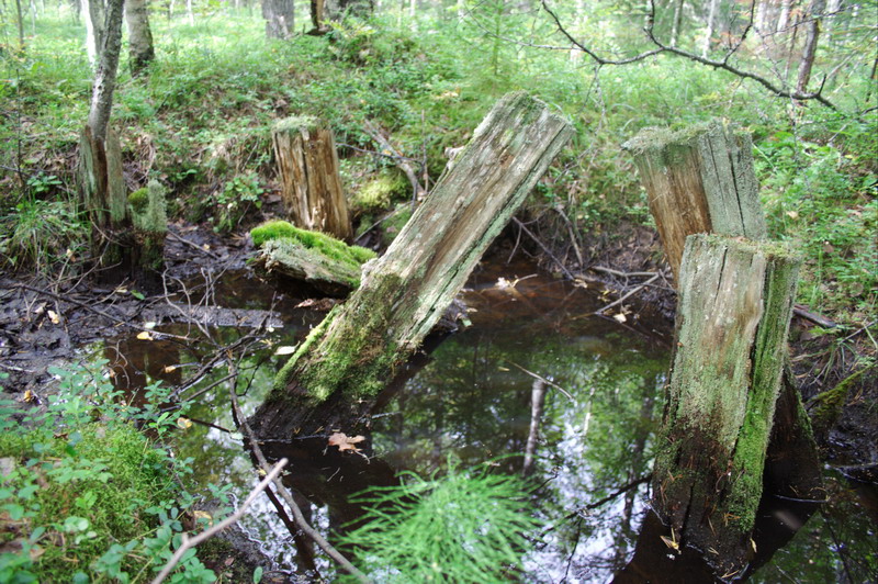 455v_Trench.jpg (800x532; 227007 bytes)