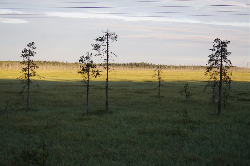 458v_Horizont.jpg (800x532; 109782 bytes)