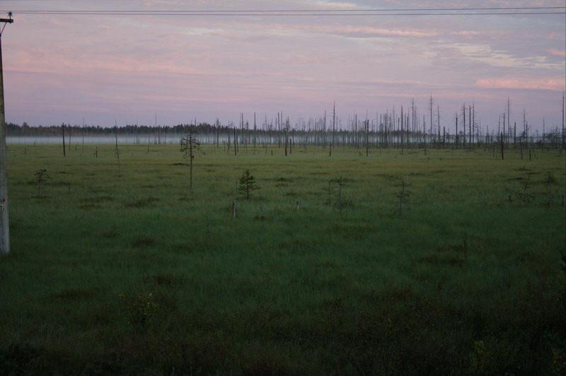 458v_Morgen.jpg (800x532; 88162 bytes)