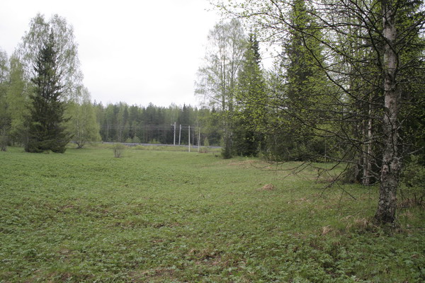 6_Nomansland.JPG (600x400; 114132 bytes)