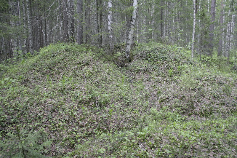 BlockHaus_445.JPG (800x533; 252479 bytes)
