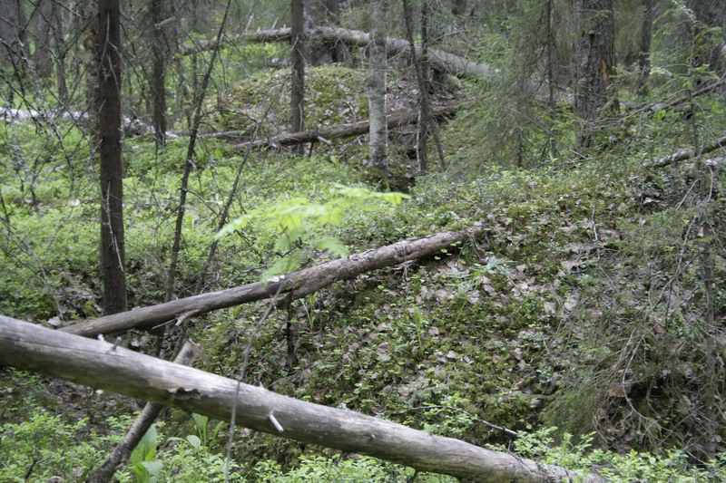 Trenches_445_verst.JPG (800x533; 224863 bytes)