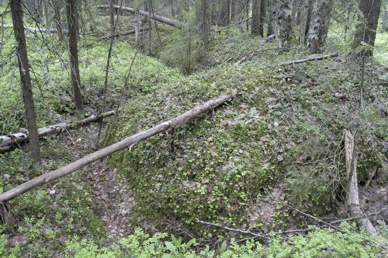 Trenchs_4.JPG (800x533; 261635 bytes)